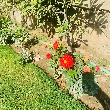 Himalayan Sun Cottage Srinagar  Exterior photo