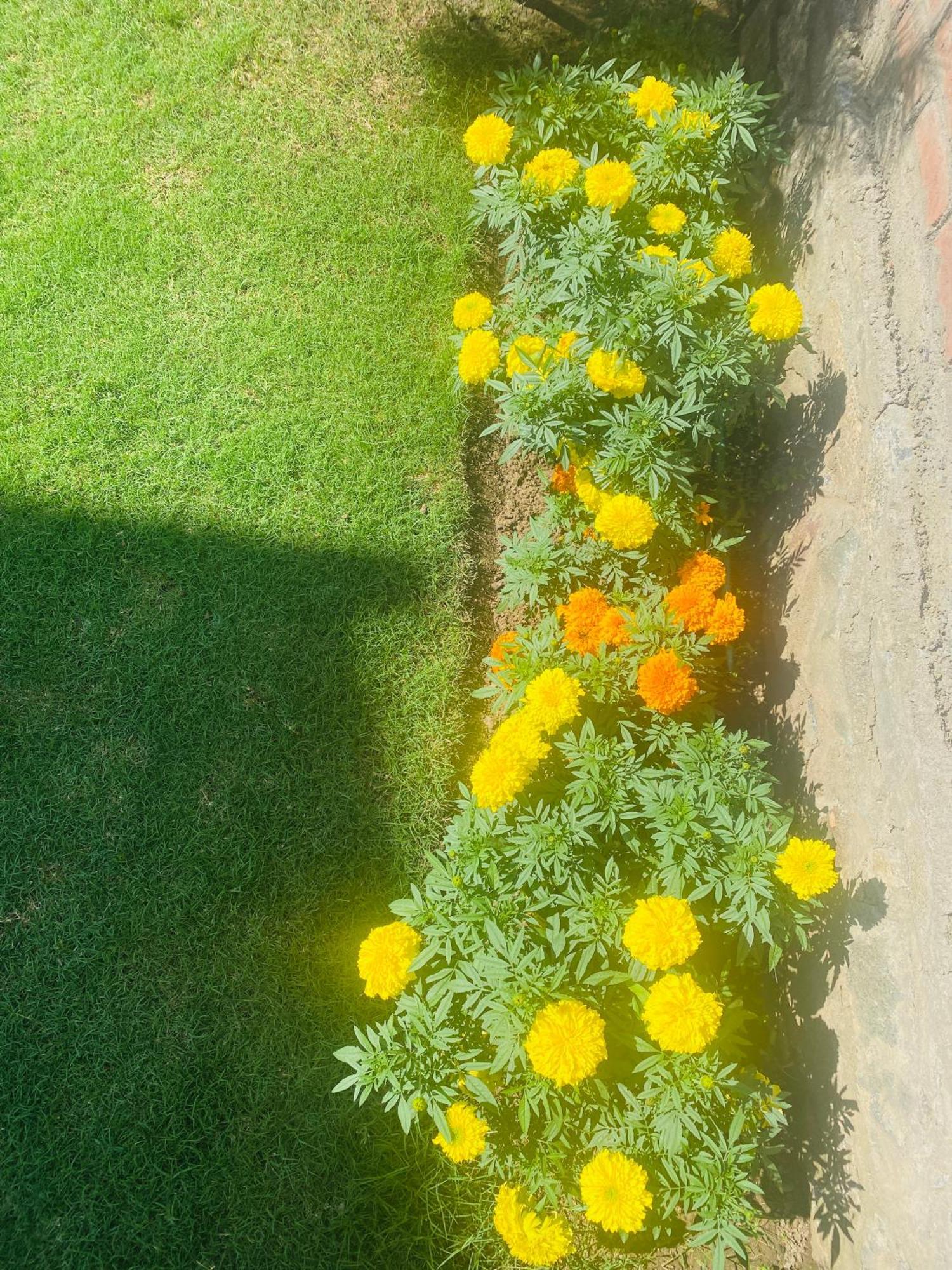 Himalayan Sun Srinagar (Jammu and Kashmir)